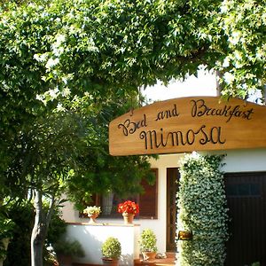 Bed And Breakfast Mimosa Cascina Exterior photo