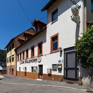 Hôtel Zum Waldhorn à Peterstal Exterior photo