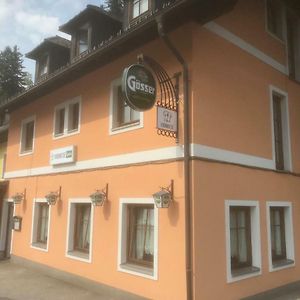 Hôtel Vidimo Se à Selzthal Exterior photo