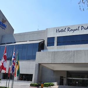 Hôtel Royal Pedregal à Mexico Exterior photo