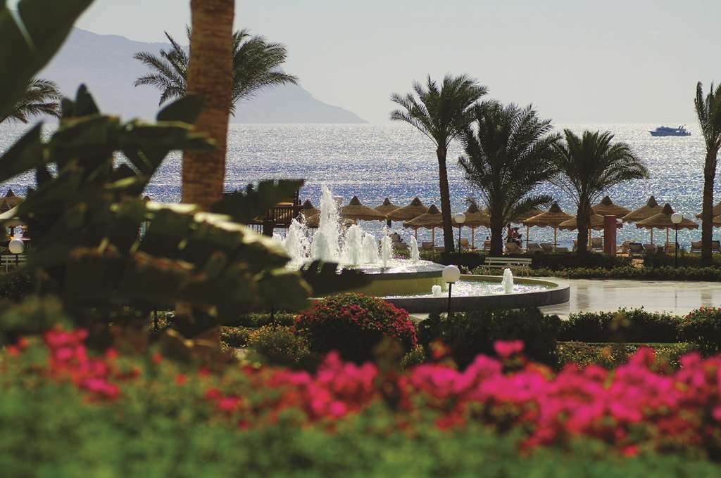 Baron Resort Sharm El Sheikh (Adults Only) Restaurant photo