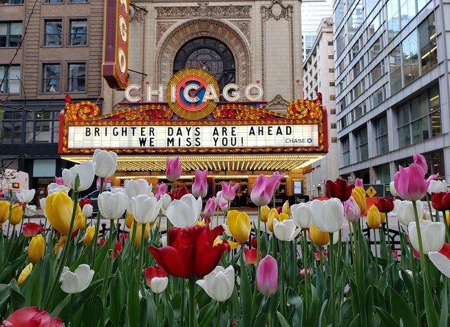 Chicago Theater photo
