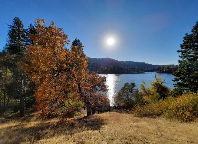 Lake Gregory Regional Park photo