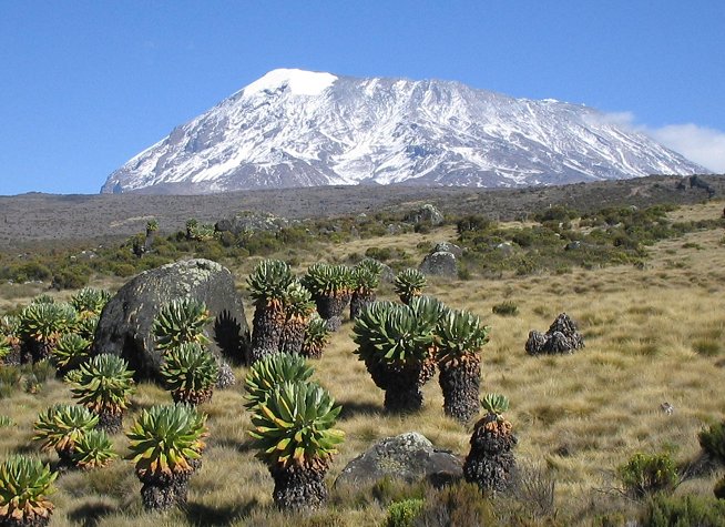 Mount Kilimanjaro photo