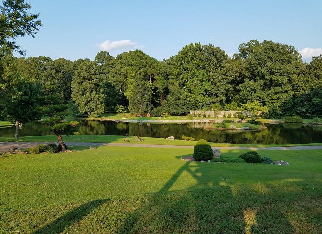 Memphis Botanic Garden photo
