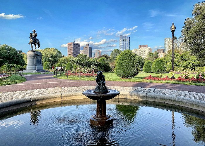 Boston Public Garden photo