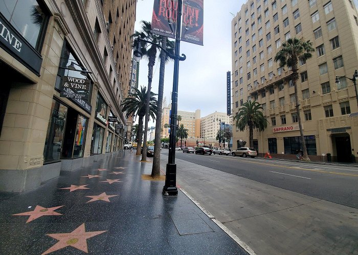 Hollywood Walk of Fame photo