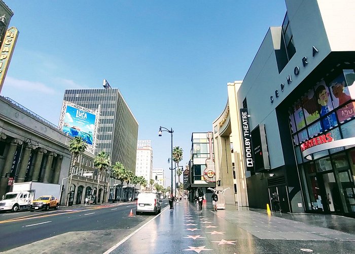 Hollywood Walk of Fame photo