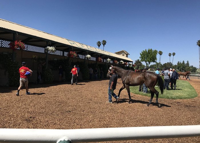 Alameda County Fairgrounds photo