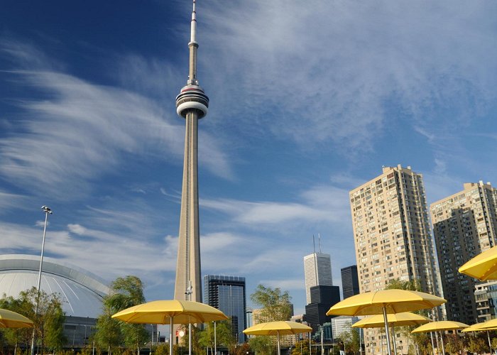 CN Tower photo