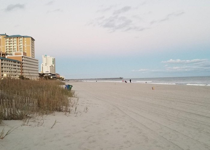 Fenwick Island State Park photo