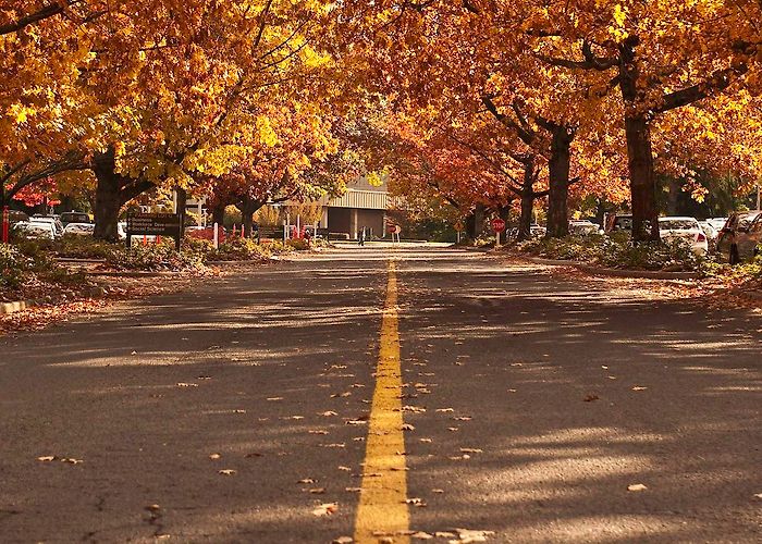 MT Hood Community College photo