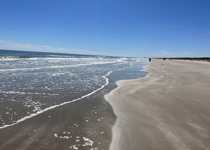 Mustang Island State Park photo