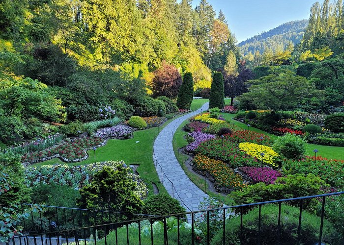 The Butchart Gardens photo