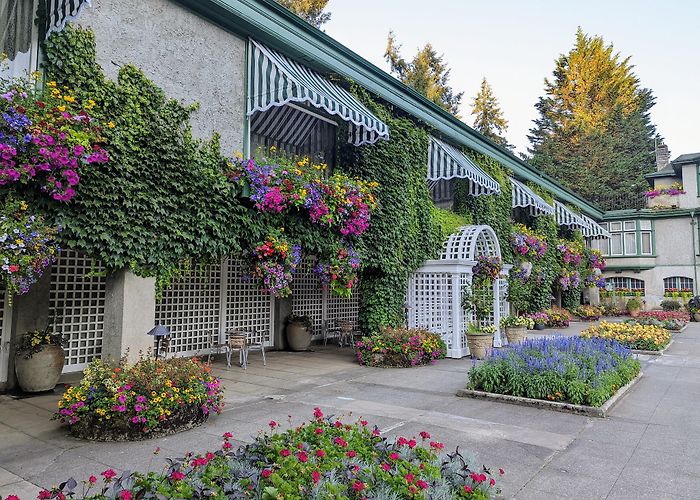 The Butchart Gardens photo