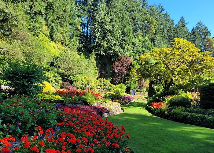 The Butchart Gardens photo