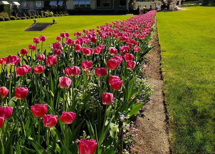 The Butchart Gardens photo