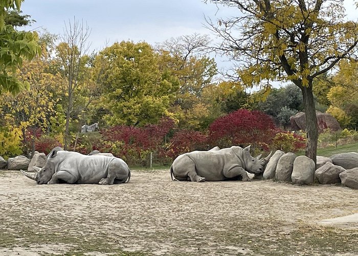 Toronto Zoo photo