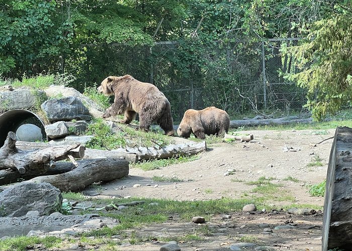 Toronto Zoo photo