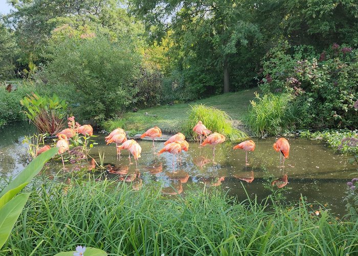 Toronto Zoo photo