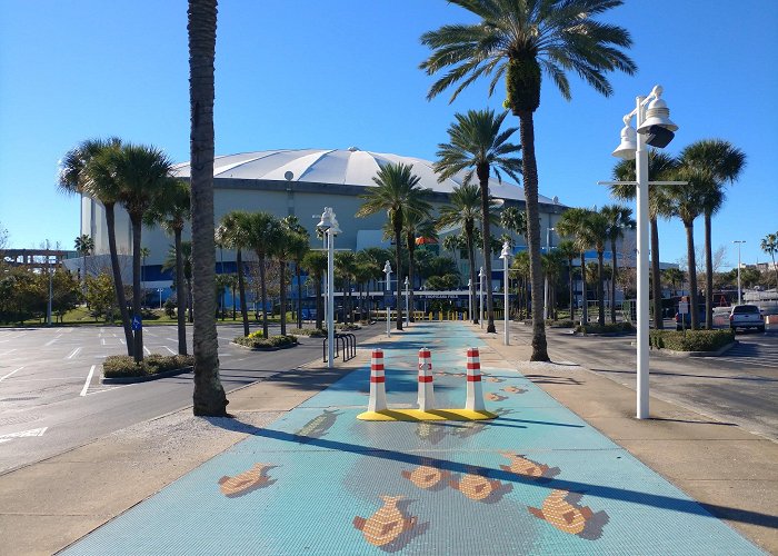 Tropicana Field photo