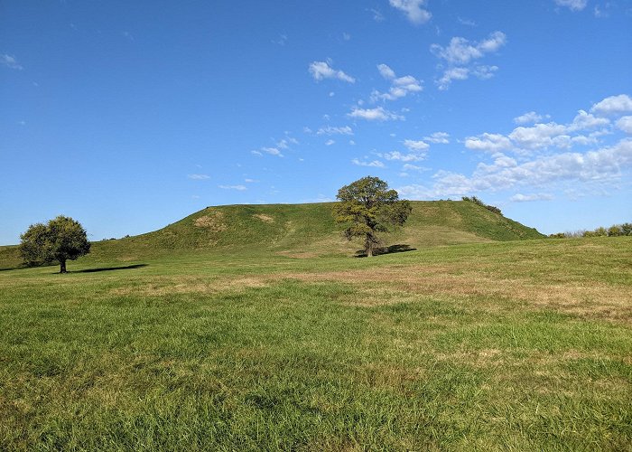 Cahokia Mounds State Historic Site photo