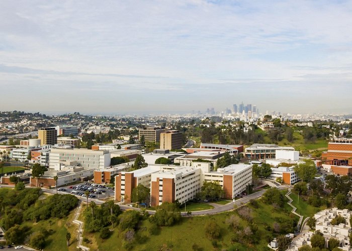 California State University, Los Angeles photo