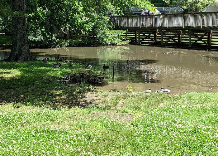 Cape May County Park & Zoo photo