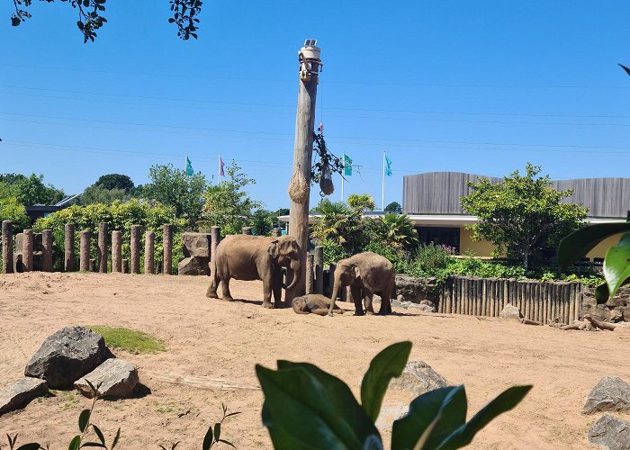 Chester Zoo photo