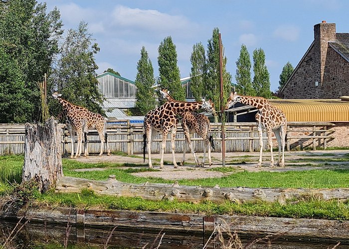 Chester Zoo photo