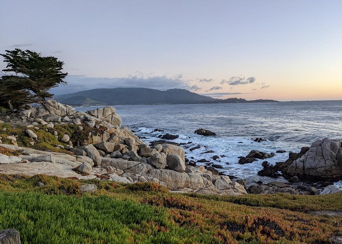 17-Mile Drive photo