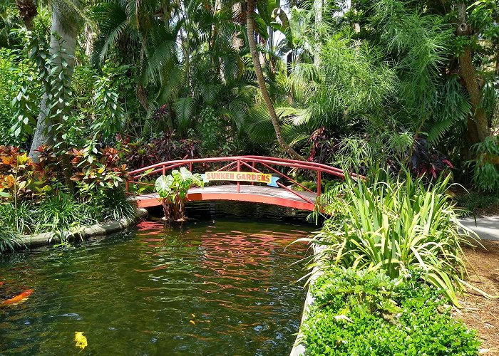 Sunken Gardens photo
