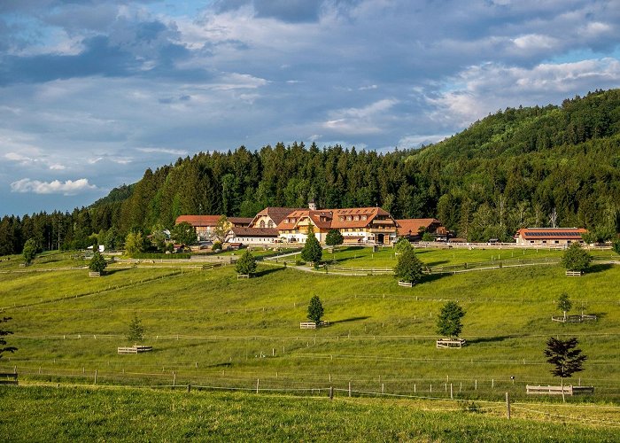 Gut Aiderbichl Henndorf near Salzburg - gut-aiderbichl.com photo