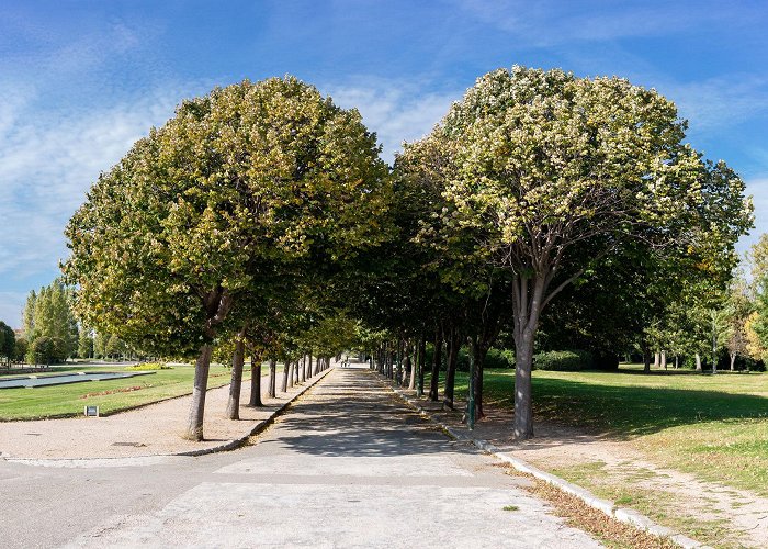 Parc Borély Parc Borély: visit the castle and its superb gardens ... photo