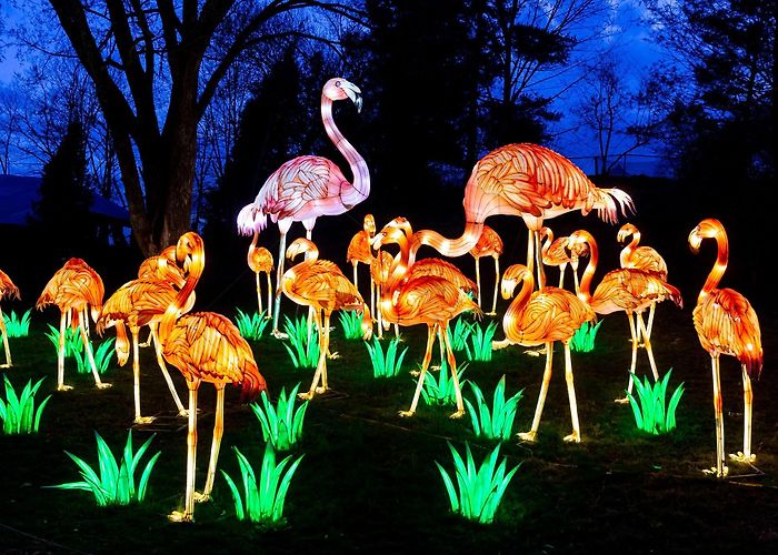 Pont-Scorff Zoo Animals of Light - China Light photo