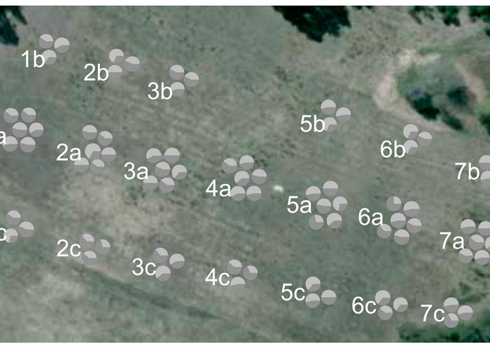 Burgruine Landsee Forests | Free Full-Text | Genetic Diversity of Five Broadleaved ... photo