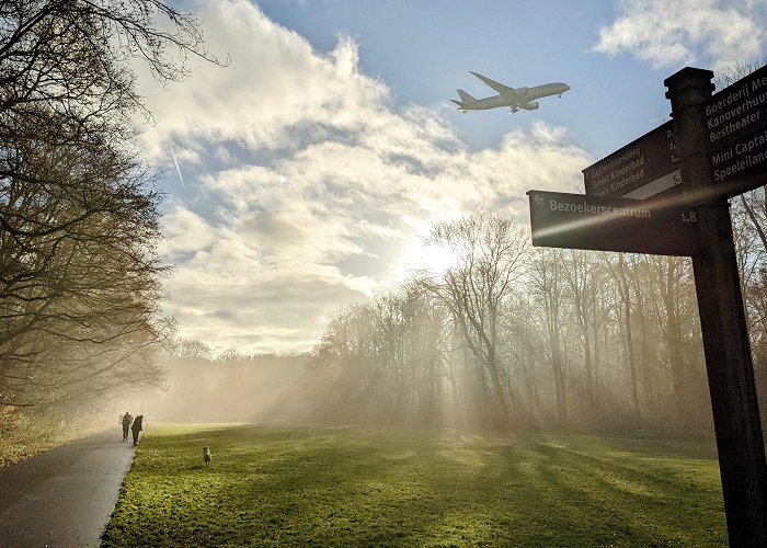 Amsterdamse Bos Amsterdamse bos this morning : r/Amsterdam photo