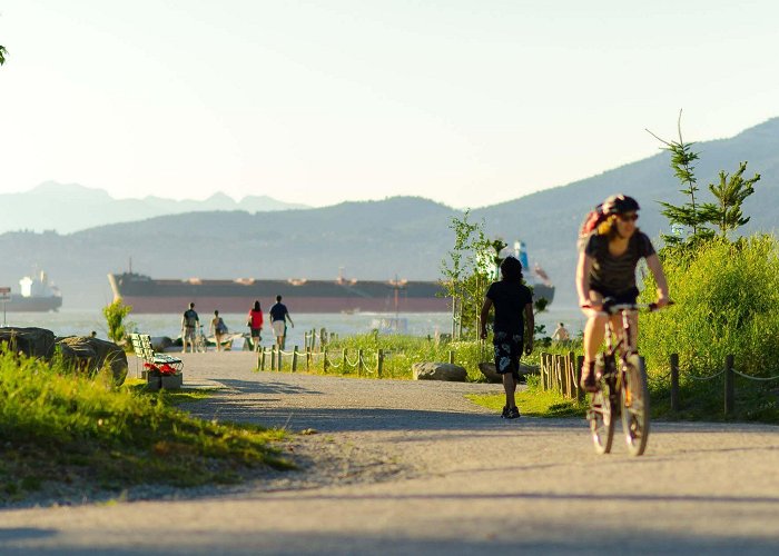 Jericho Beach Jericho Beach Park - Connect Landscape Architecture photo