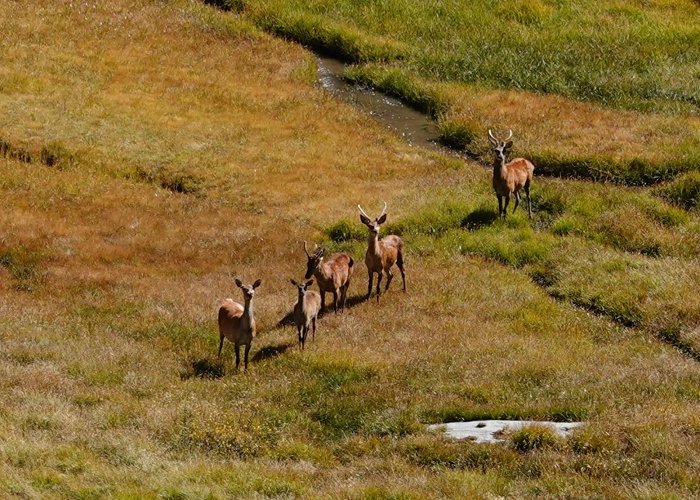 Le Lac de Vallon Main Alpine Divide Gallery | Baxter Nature photo