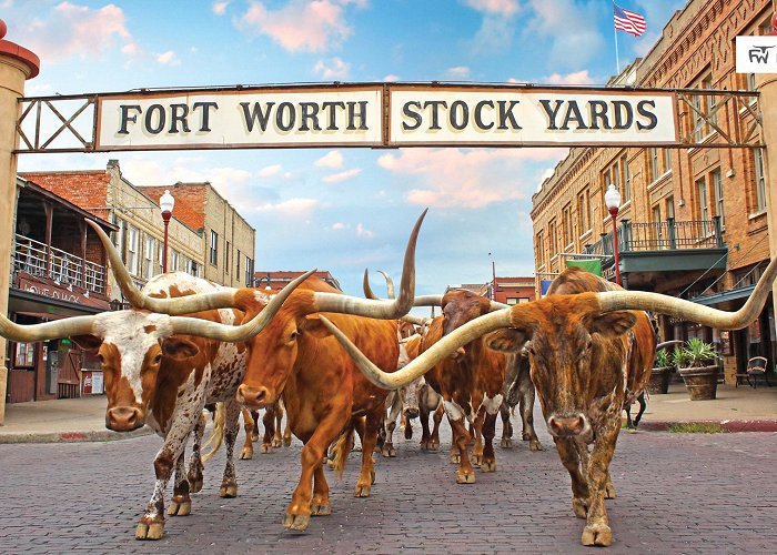 Fort Worth Stockyards Stockyards National Historic District in Fort Worth | The Herd photo