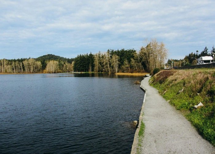 Elk Lake Regional Park Paddle Boards Victoria BC: 15 Hotspots You Can't Miss photo