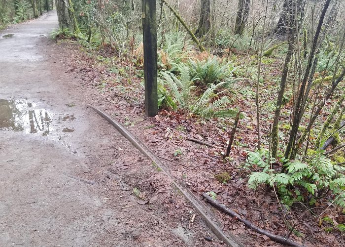 Elk Lake Regional Park The last remnant of the century-abandoned Victoria & Sidney ... photo