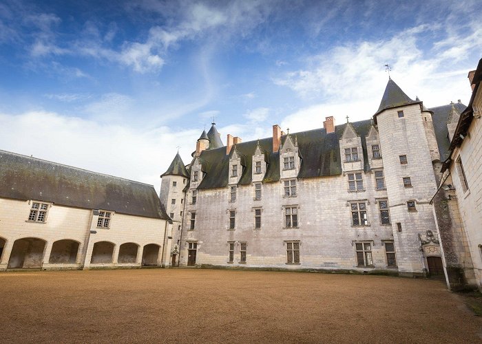 Chateau du Plessis-Bourre Château du Plessis-Bourré - Association "Châteaux de la Loire" photo