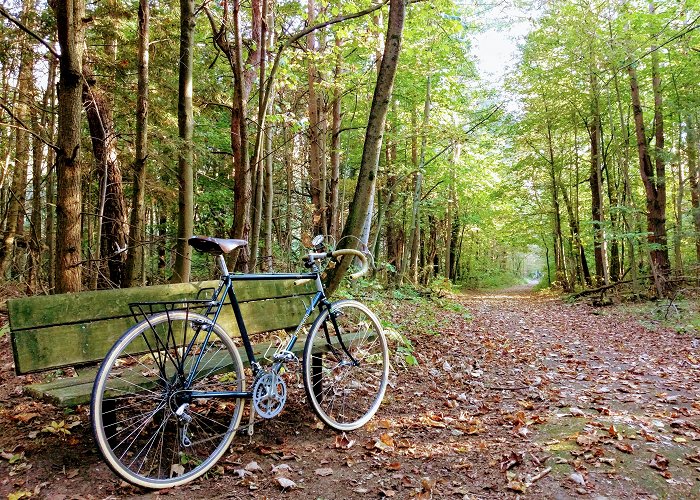 Presqu'ile Provincial Park First day of fall in Presqu'ile Provincial Park in Brighton, ON ... photo