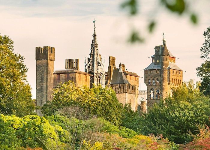 Bute Park The inside guide to Cardiff, Wales photo