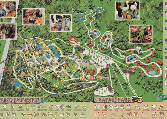 Parco Natura Viva Index of /zoos/europe/italie/bussolengo/maps photo