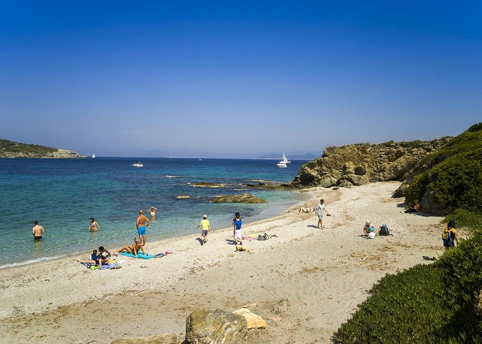 Ile des Embiez Plage des Allemands (Six-Fours-les-Plages) | Provence-Alpes-Côte d ... photo