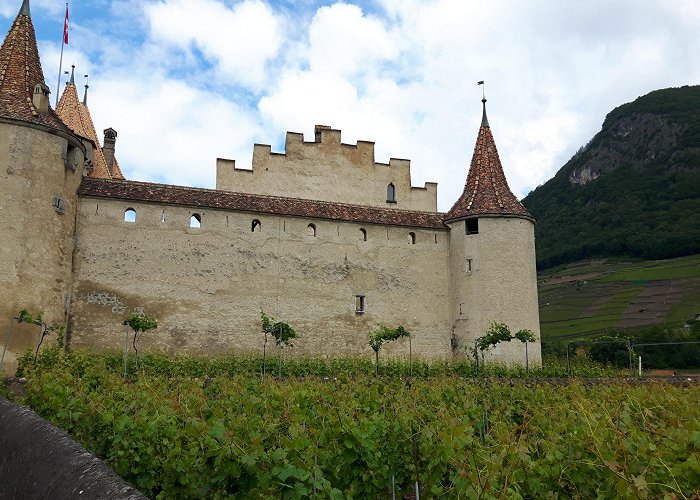 Aigle Castle Musée de la Vigne et du Vin at Aigle Castle – CUISINE HELVETICA photo