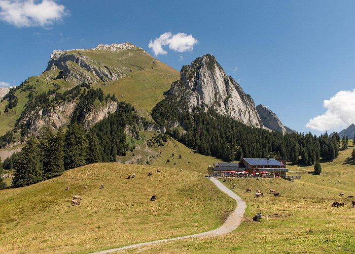 Gondelbahn Wildhaus-Gamplüt The best hikes and walks in Schwarzchopf | Outdooractive photo