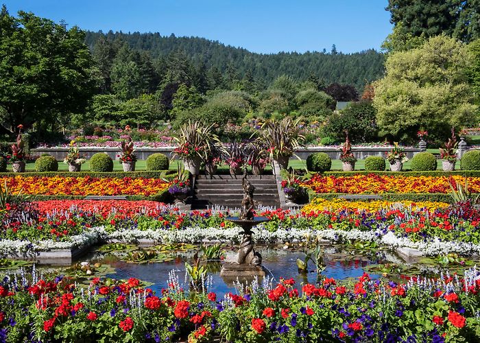 The Butchart Gardens The Butchart Gardens photo